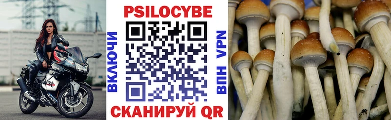 Псилоцибиновые грибы прущие грибы  Задонск 